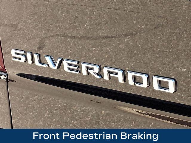 2024 Chevrolet Silverado 1500 Vehicle Photo in PAWLING, NY 12564-3219