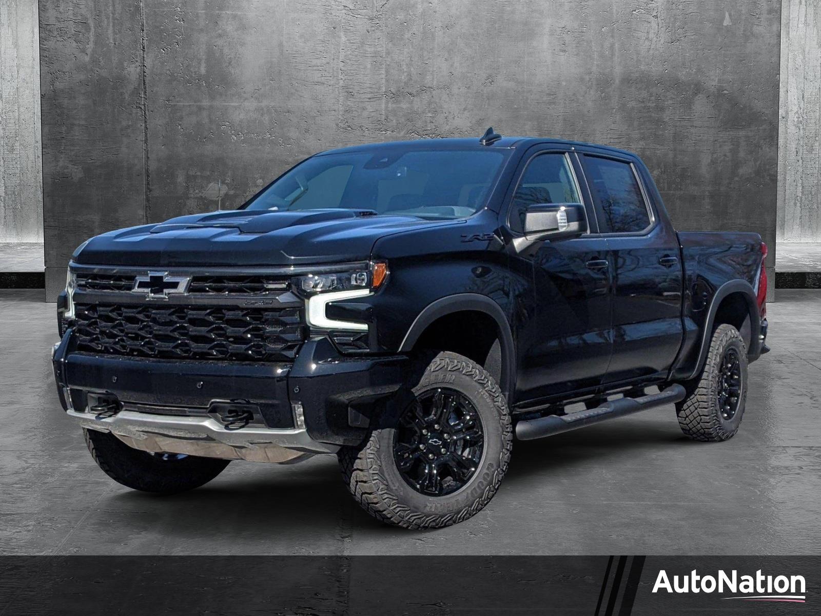2025 Chevrolet Silverado 1500 Vehicle Photo in TIMONIUM, MD 21093-2300