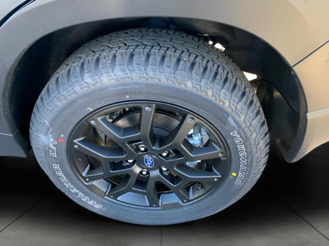 2025 Subaru Crosstrek Vehicle Photo in Oshkosh, WI 54904