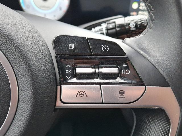 2023 Hyundai ELANTRA Vehicle Photo in Philadelphia, PA 19116
