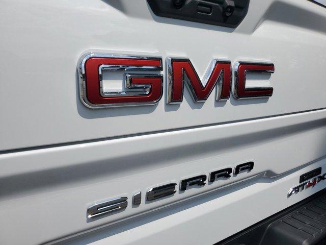 2024 GMC Sierra 1500 Vehicle Photo in SMYRNA, GA 30080-7630