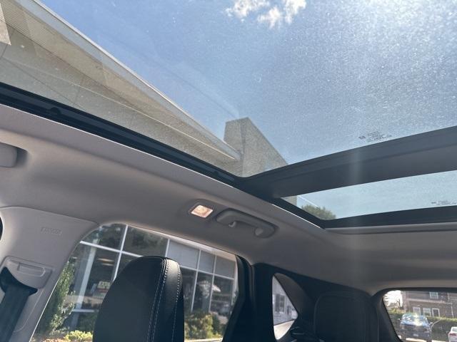 2022 Ford Escape Vehicle Photo in Webster, MA 01570-1415