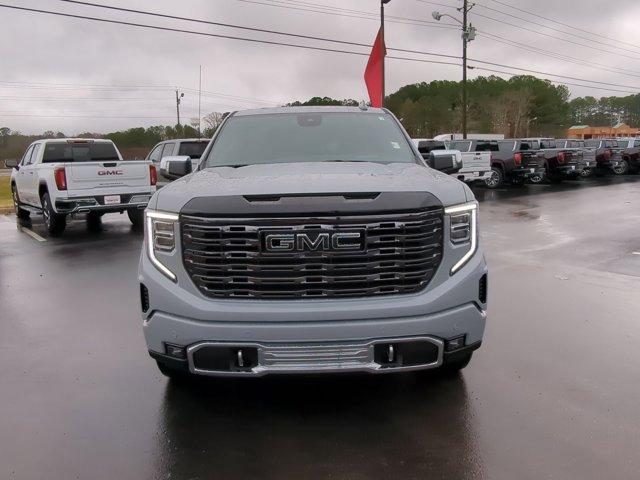 2025 GMC Sierra 1500 Vehicle Photo in ALBERTVILLE, AL 35950-0246