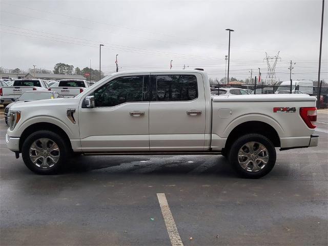 2021 Ford F-150 Vehicle Photo in ALBERTVILLE, AL 35950-0246