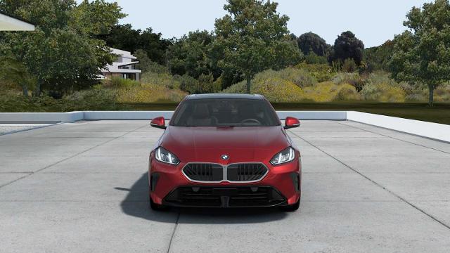 2025 BMW 228 xDrive Vehicle Photo in GRAPEVINE, TX 76051