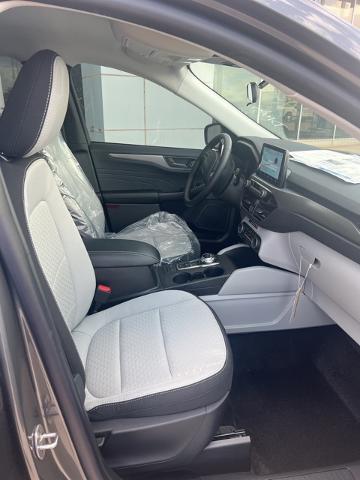 2024 Ford Escape Vehicle Photo in Winslow, AZ 86047-2439