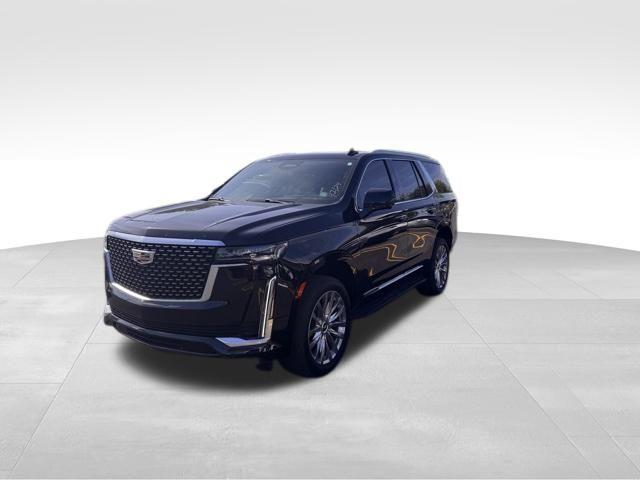 2023 Cadillac Escalade Vehicle Photo in DELRAY BEACH, FL 33483-3294