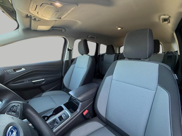 2019 Ford Escape Vehicle Photo in Appleton, WI 54914