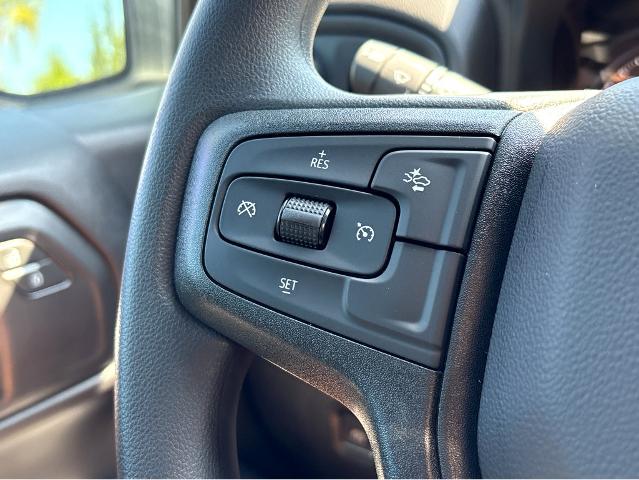 2025 Chevrolet Silverado 1500 Vehicle Photo in BEAUFORT, SC 29906-4218