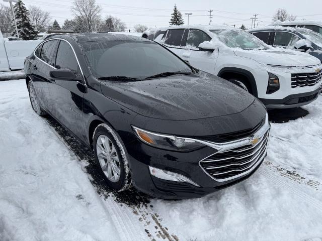 2019 Chevrolet Malibu Vehicle Photo in NEENAH, WI 54956-2243