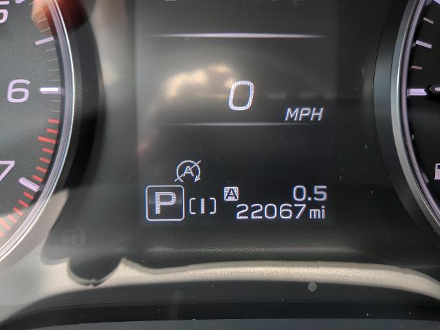 2024 Subaru Crosstrek Vehicle Photo in Green Bay, WI 54304