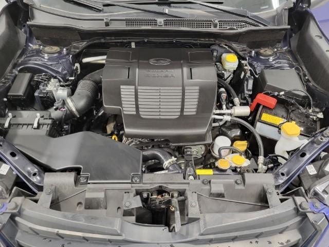 2024 Subaru Forester Vehicle Photo in Green Bay, WI 54304