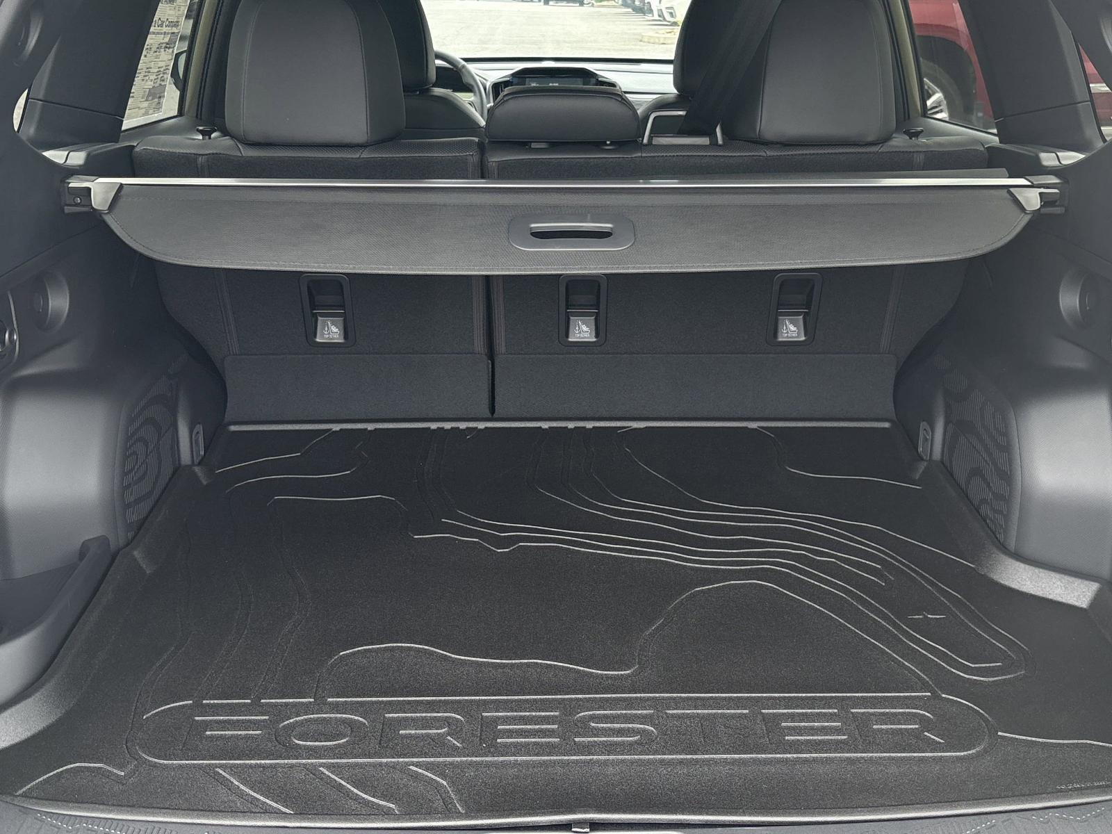 2025 Subaru Forester Vehicle Photo in Mechanicsburg, PA 17050