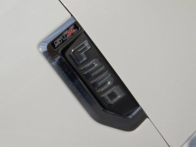 2022 Ford Super Duty F-250 SRW Vehicle Photo in Decatur, TX 76234