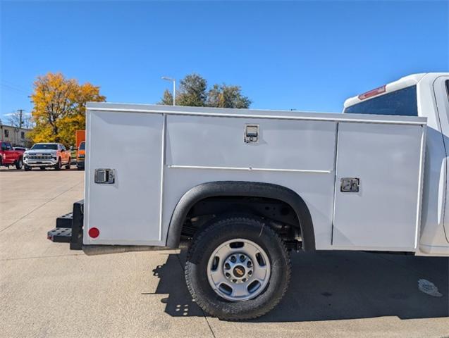 2025 Chevrolet Silverado 1500 Vehicle Photo in ENGLEWOOD, CO 80113-6708