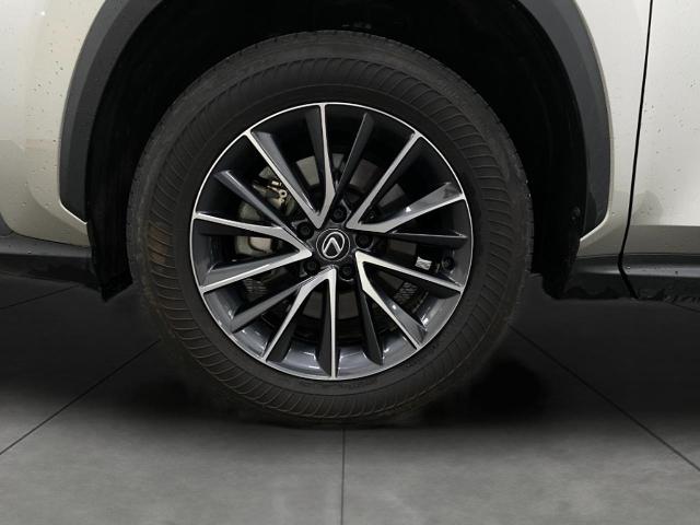 2024 Lexus NX 250 Vehicle Photo in Appleton, WI 54913
