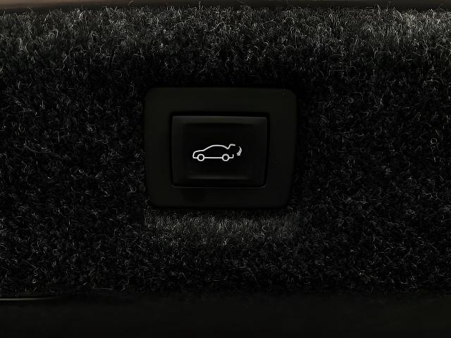 2019 Cadillac CT6 Vehicle Photo in Appleton, WI 54913