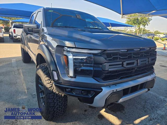 2025 Ford F-150 Vehicle Photo in DENTON, TX 76210-9321