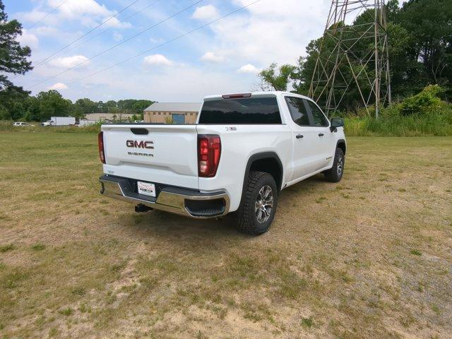 2024 GMC Sierra 1500 Vehicle Photo in ALBERTVILLE, AL 35950-0246