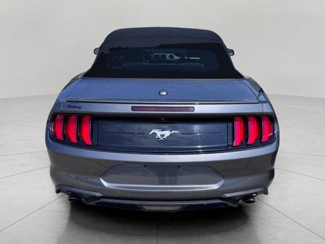 2022 Ford Mustang Vehicle Photo in Oshkosh, WI 54901