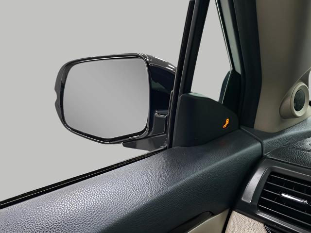 2018 Honda Pilot Vehicle Photo in Appleton, WI 54913