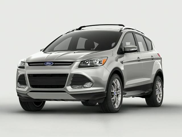 2014 Ford Escape Vehicle Photo in Akron, OH 44320