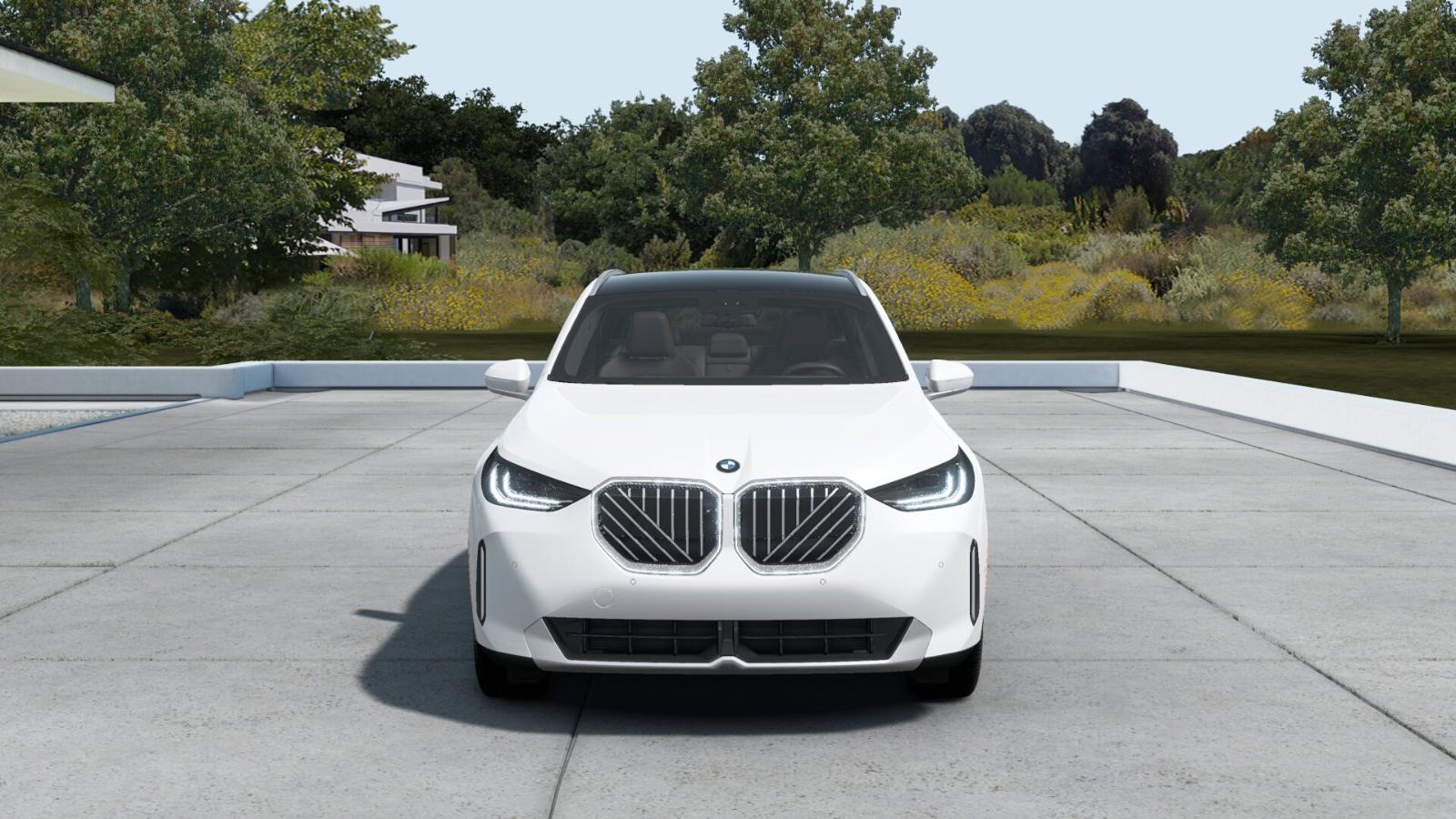 2025 BMW X3 30 xDrive Vehicle Photo in GRAPEVINE, TX 76051