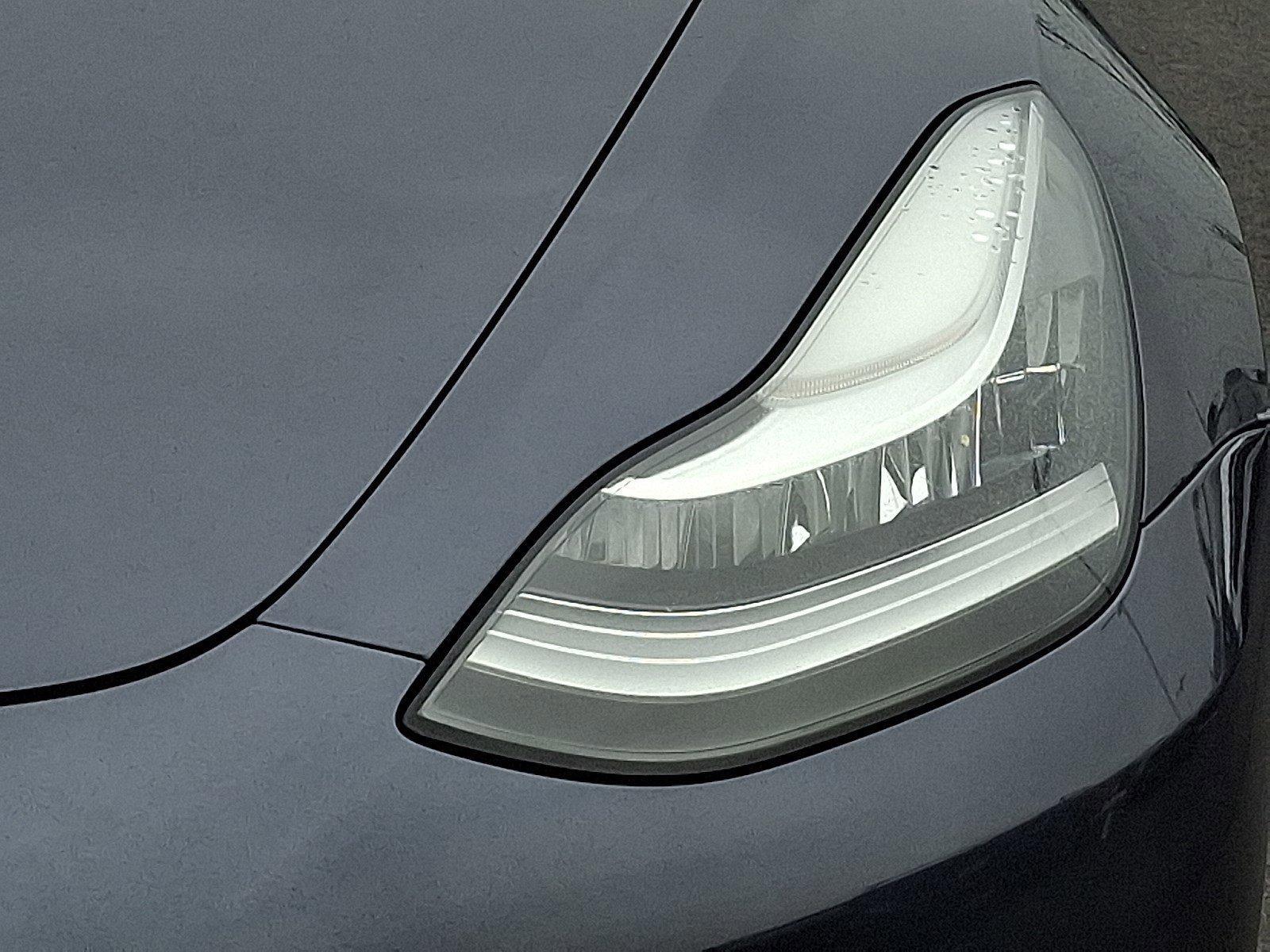 2022 Tesla Model 3 Vehicle Photo in Harrisburg, PA 17111