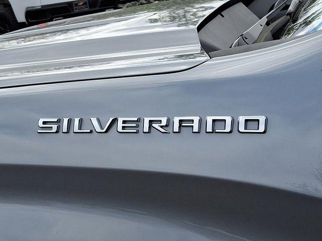 2023 Chevrolet Silverado 1500 Vehicle Photo in DANBURY, CT 06810-5034