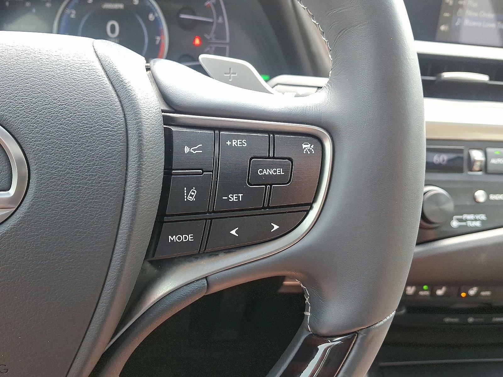 2019 Lexus ES 350 Vehicle Photo in Harrisburg, PA 17111