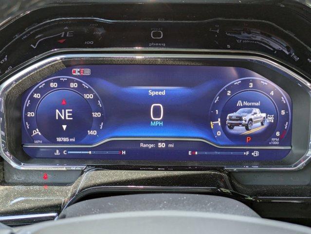 2024 Chevrolet Silverado 1500 Vehicle Photo in BRUNSWICK, GA 31525-1881