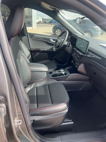 2024 Ford Escape Vehicle Photo in Winslow, AZ 86047-2439