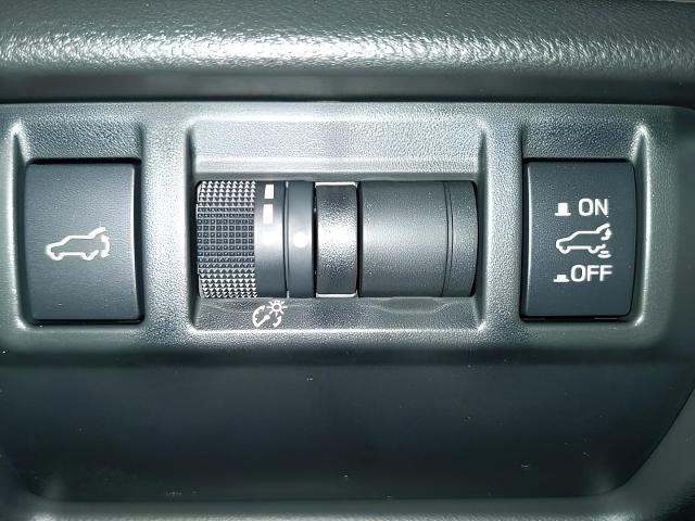 2025 Subaru Forester Vehicle Photo in Green Bay, WI 54304