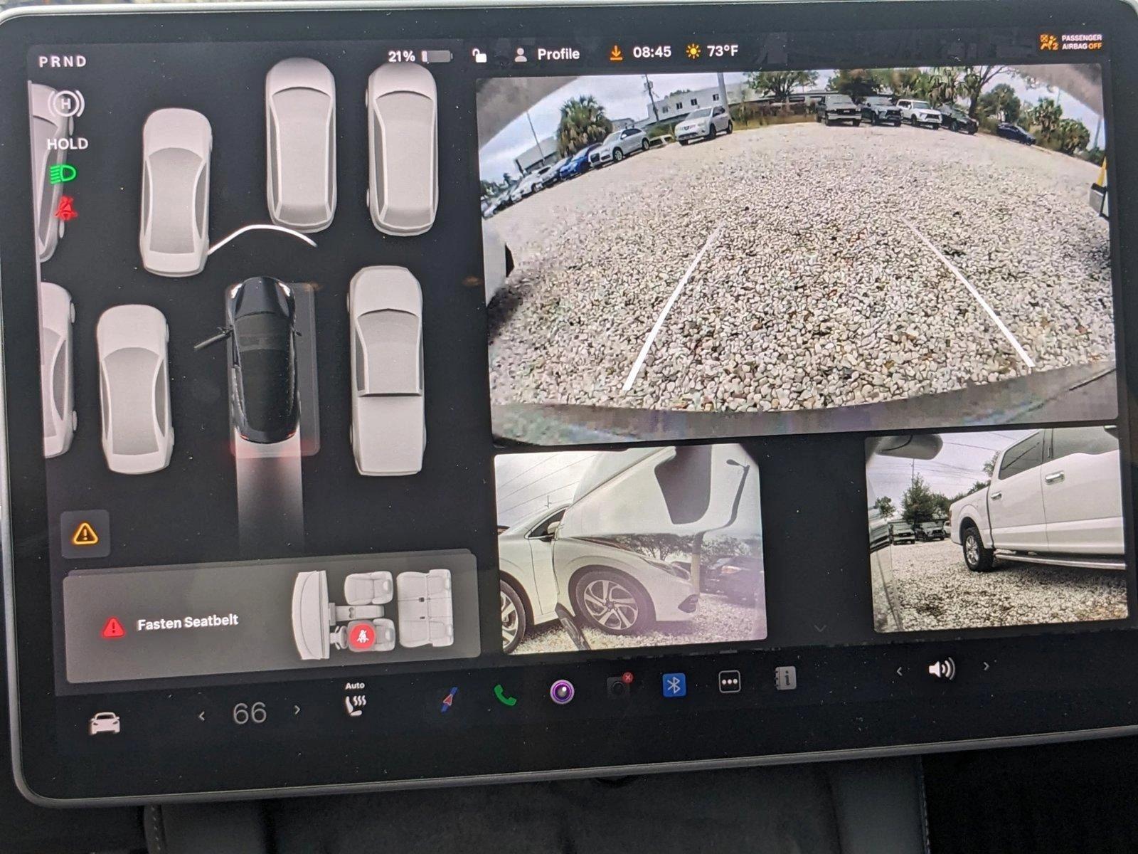 2021 Tesla Model 3 Vehicle Photo in Tampa, FL 33614