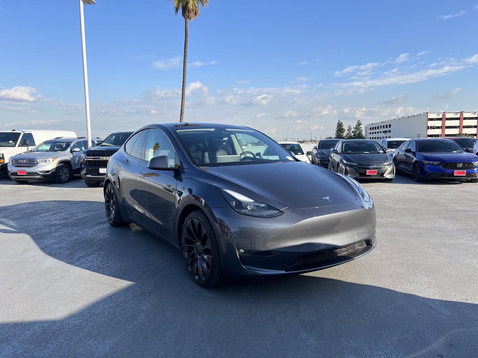 2023 Tesla Model Y Vehicle Photo in LOS ANGELES, CA 90007-3794