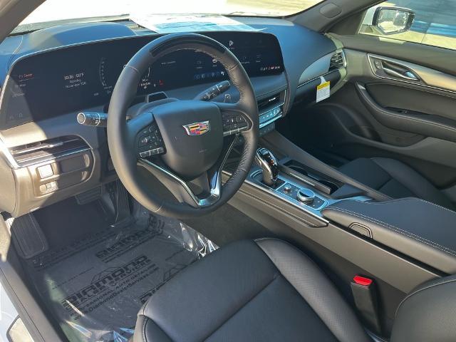 2025 Cadillac CT5 Vehicle Photo in Tampa, FL 33612