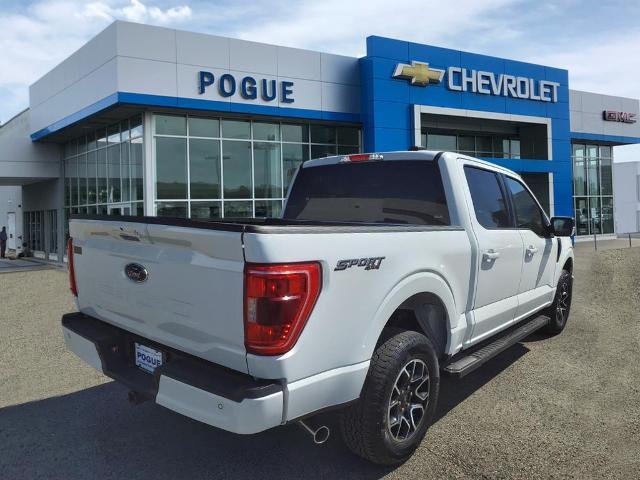 Used 2023 Ford F-150 XL with VIN 1FTFW1E54PFA91610 for sale in Greenville, KY