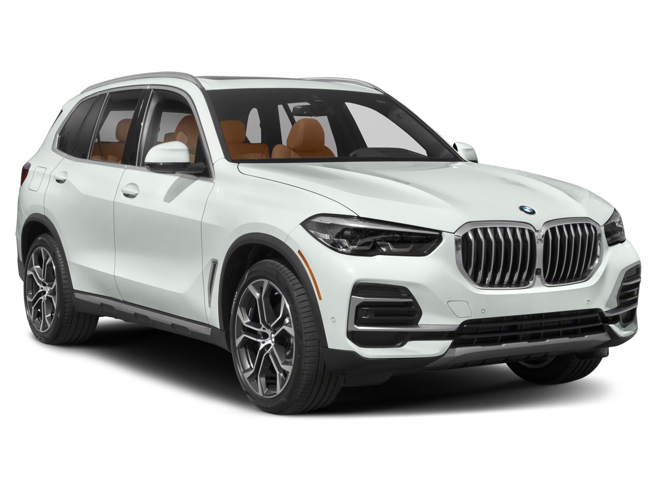 2023 BMW X5 xDrive40i Vehicle Photo in San Antonio, TX 78230