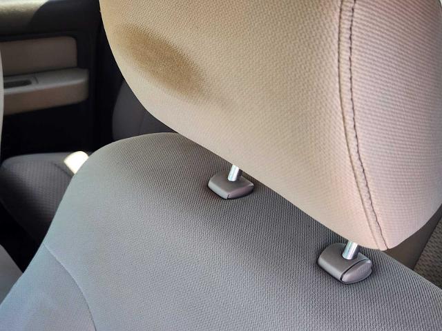 2009 Ford F-150 Vehicle Photo in DENTON, TX 76210-9321