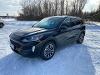 Used 2020 Ford Escape SEL with VIN 1FMCU9H93LUC60071 for sale in International Falls, MN