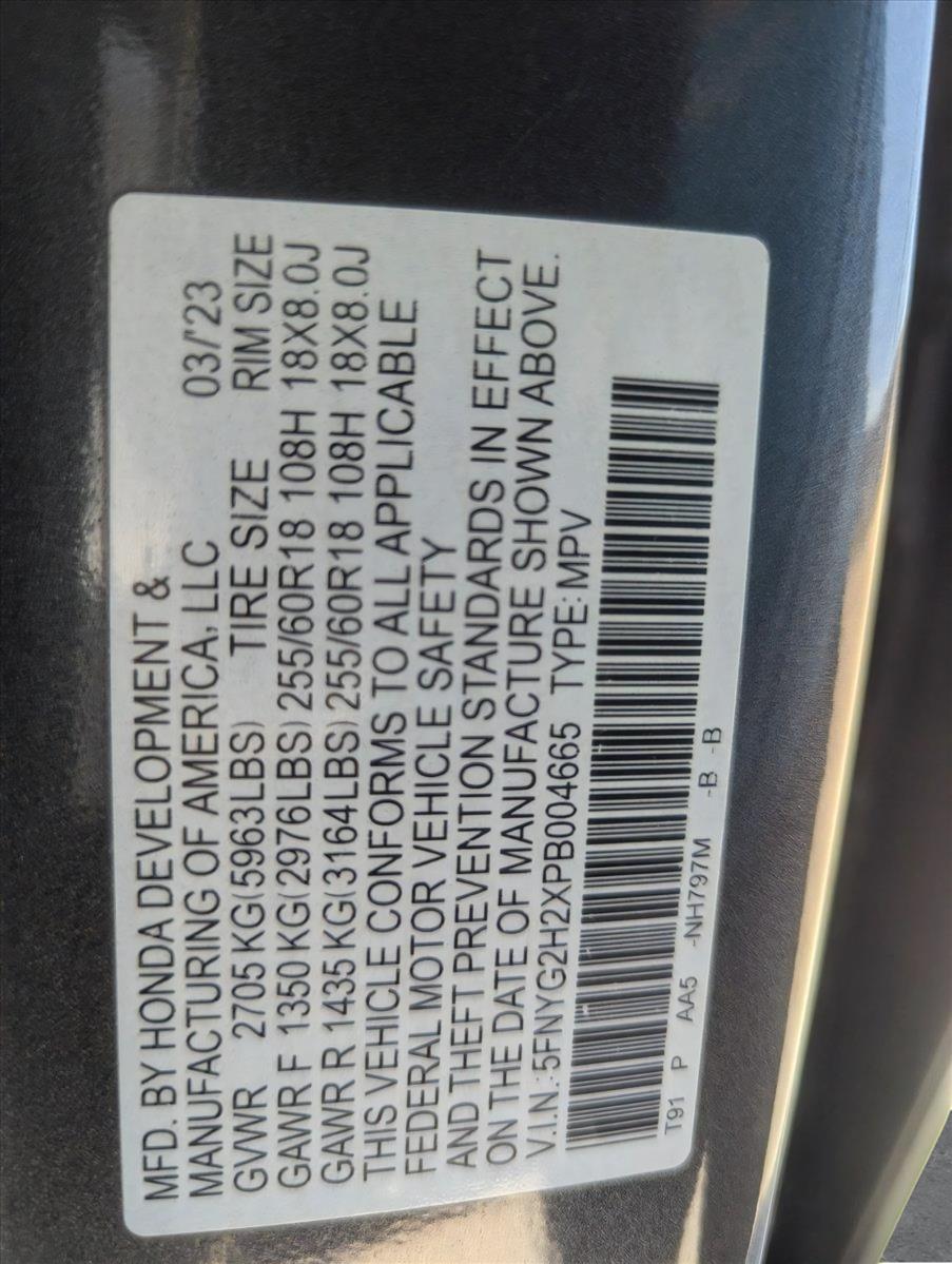 2023 Honda Pilot Vehicle Photo in CORPUS CHRISTI, TX 78412-4902