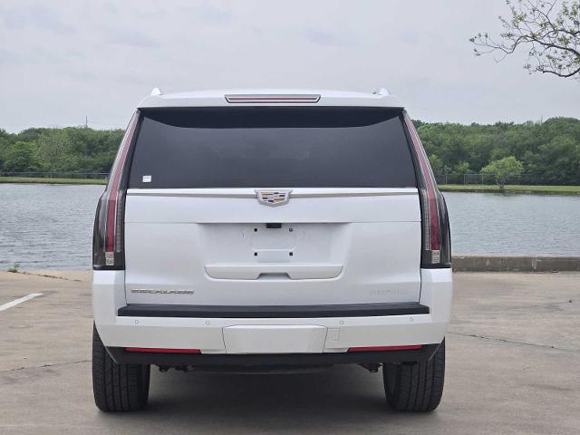 2020 Cadillac Escalade Vehicle Photo in DENTON, TX 76210-9321