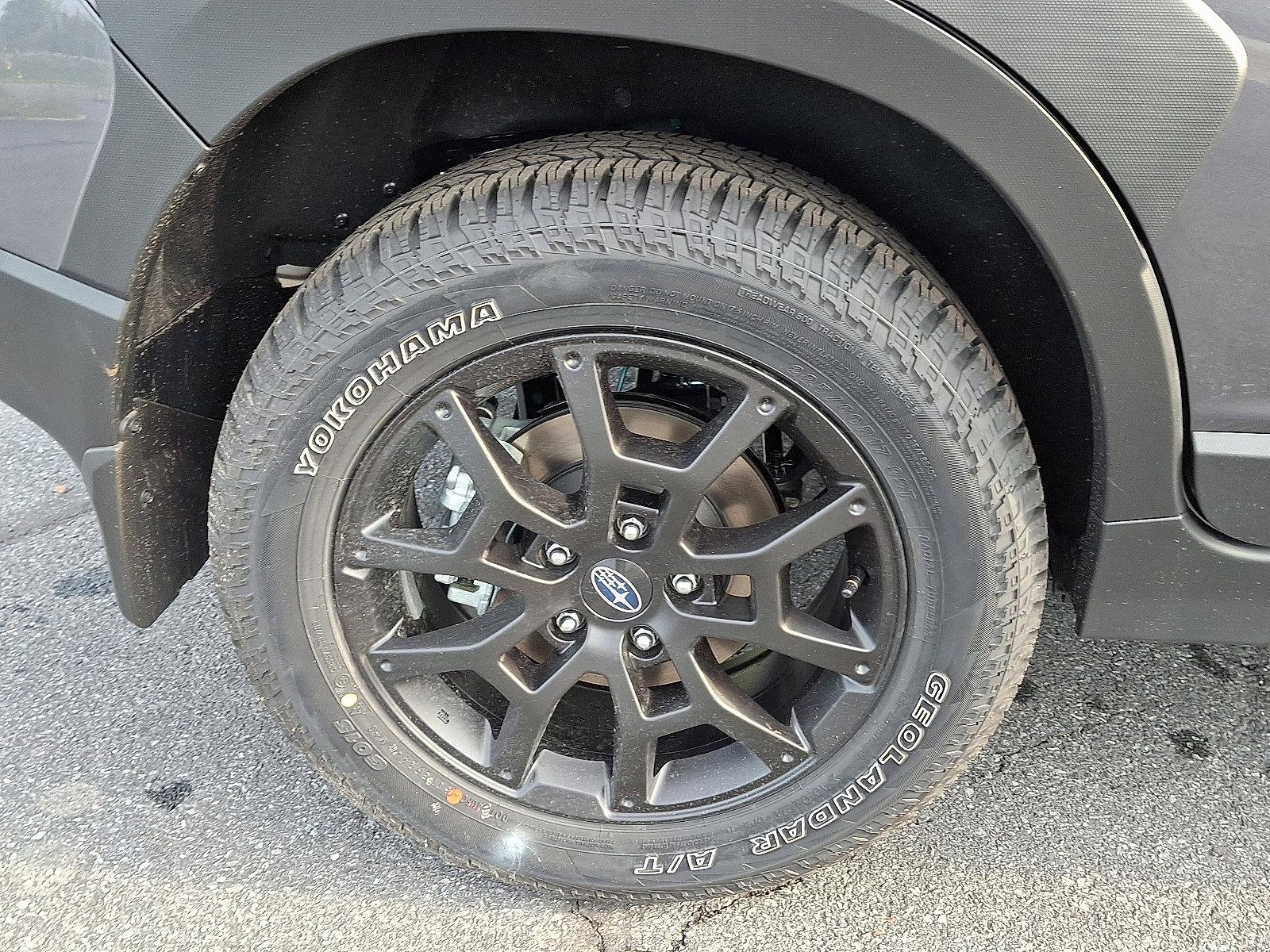 2025 Subaru Crosstrek Vehicle Photo in Harrisburg, PA 17111