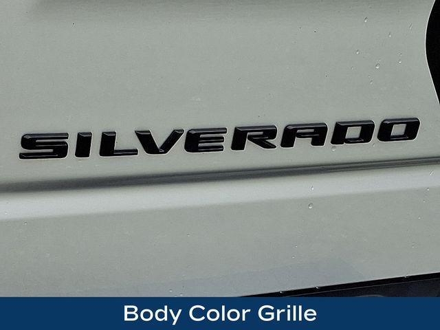 2021 Chevrolet Silverado 1500 Vehicle Photo in PAWLING, NY 12564-3219