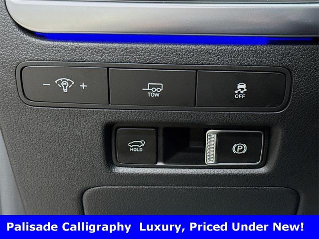 2025 Hyundai Palisade Vehicle Photo in EVERETT, WA 98203-5662