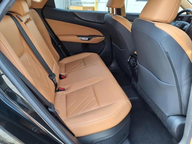2024 Lexus NX 450h+ Vehicle Photo in Tampa, FL 33612
