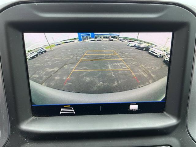 2020 Chevrolet Silverado 1500 Vehicle Photo in TULLY, NY 13159-3159