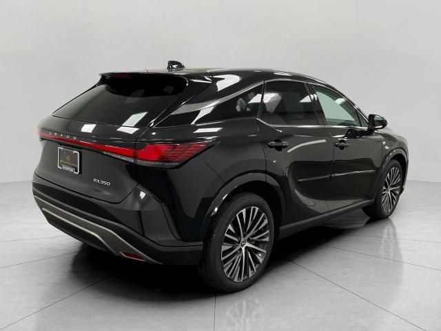 2023 Lexus RX 350 Vehicle Photo in Appleton, WI 54913
