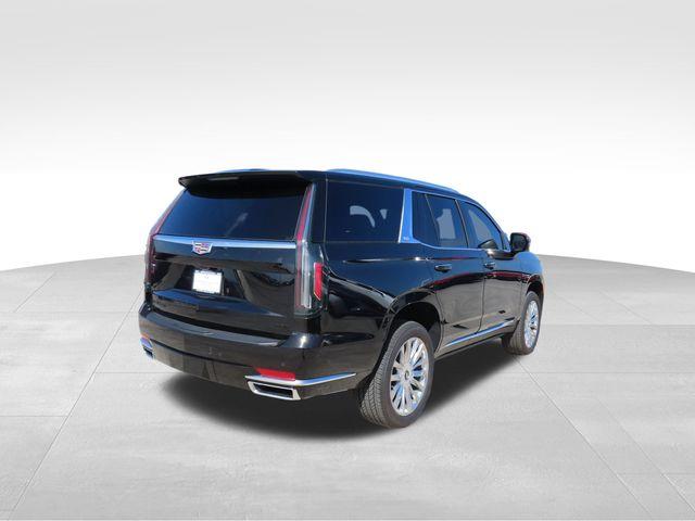 2024 Cadillac Escalade Vehicle Photo in DELRAY BEACH, FL 33483-3294