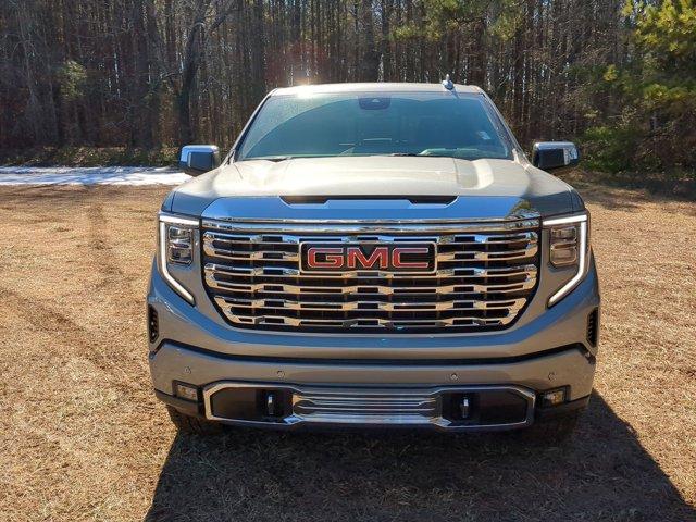 2025 GMC Sierra 1500 Vehicle Photo in ALBERTVILLE, AL 35950-0246